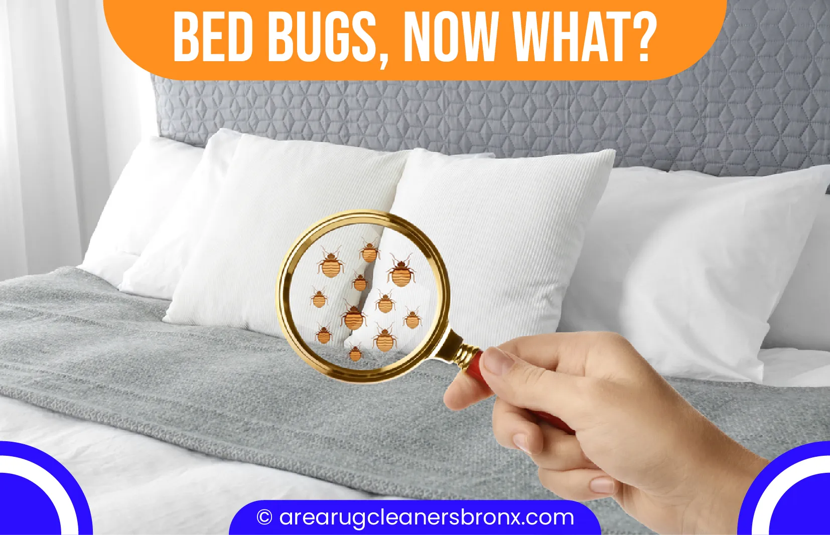 carpet cleaning in Bronx, carpet cleaner in Bronx, carpet cleaners in Bronx, carpet cleaners in Bronx, drapery cleaners in Bronx, carpet cleaning in Bronx, mattress cleaning in Bronx, mattress cleaners in Bronx, commercial carpet cleaning, commercial carpet cleaners in Bronx, Bronx rug cleaners, rug cleaning services in Bronx same day carpet cleaning, same day rug cleaning